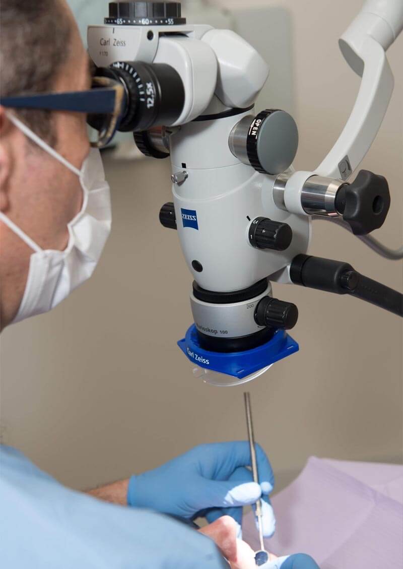 Endodontic Surgery Professional Endodontics